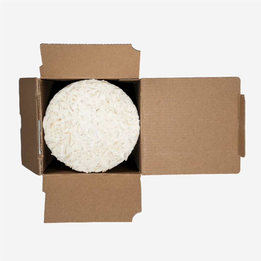 Magical Bottle Protector®  - Sample (Set with Box)