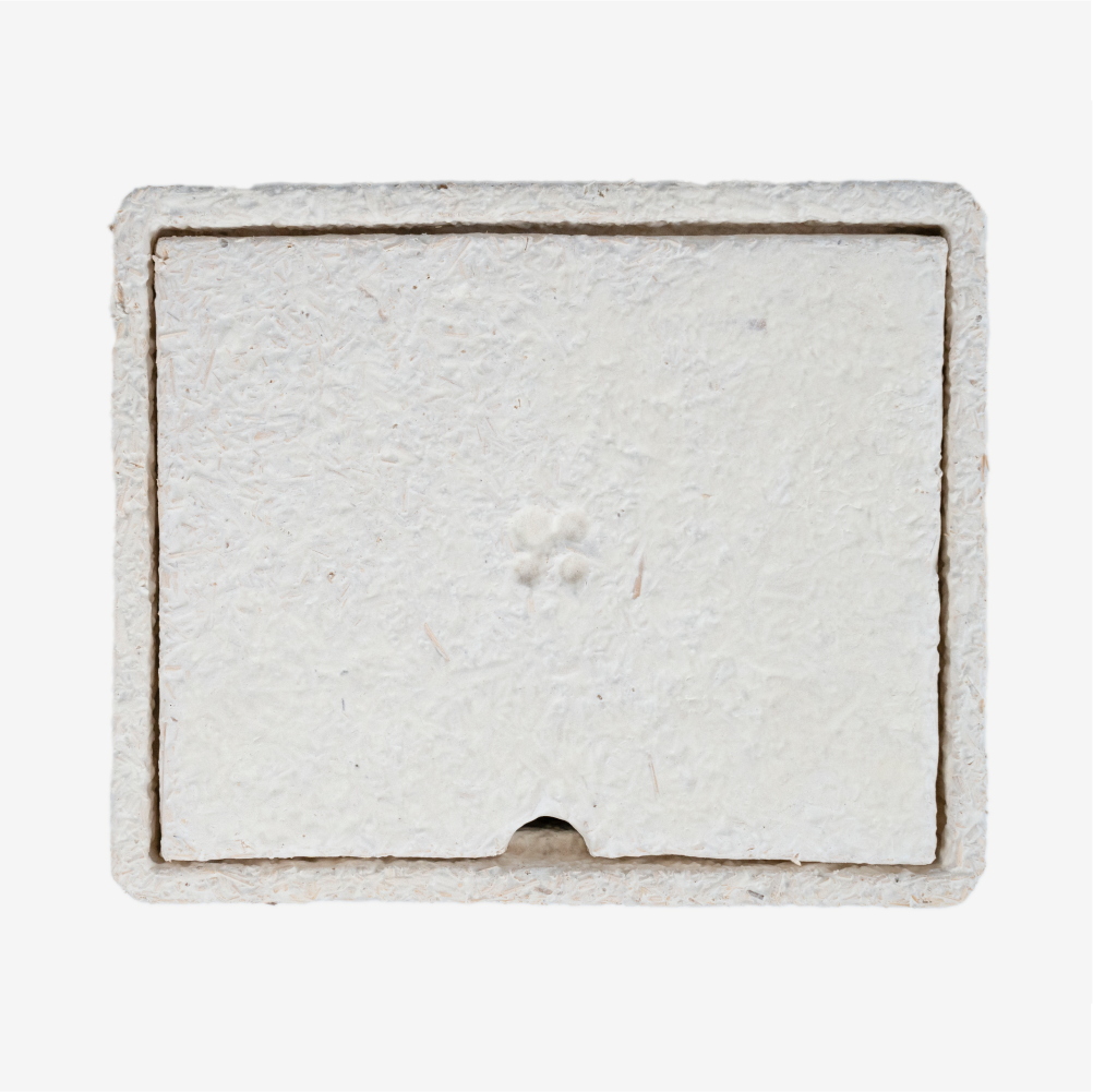 Magical Gift Box® - Small - Sample